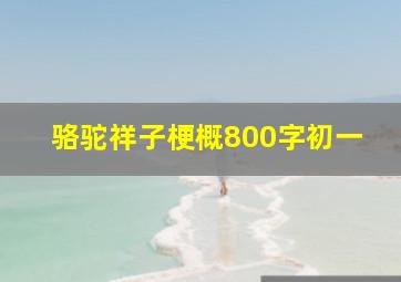 骆驼祥子梗概800字初一