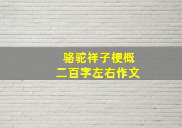 骆驼祥子梗概二百字左右作文