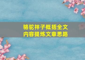 骆驼祥子概括全文内容提炼文章思路