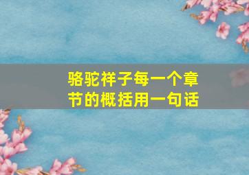 骆驼祥子每一个章节的概括用一句话