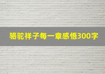 骆驼祥子每一章感悟300字