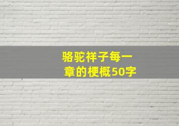 骆驼祥子每一章的梗概50字