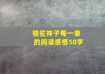 骆驼祥子每一章的阅读感悟50字