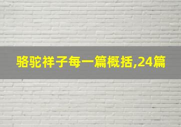 骆驼祥子每一篇概括,24篇