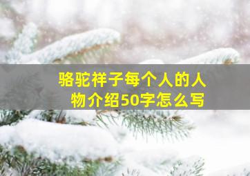 骆驼祥子每个人的人物介绍50字怎么写