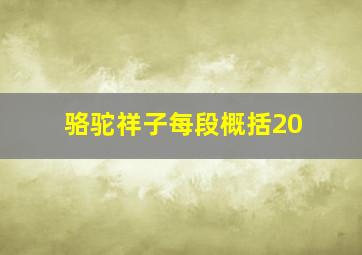 骆驼祥子每段概括20