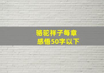 骆驼祥子每章感悟50字以下