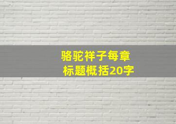 骆驼祥子每章标题概括20字