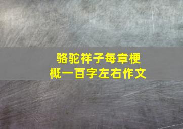 骆驼祥子每章梗概一百字左右作文