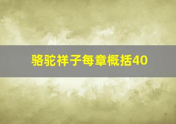 骆驼祥子每章概括40