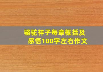 骆驼祥子每章概括及感悟100字左右作文