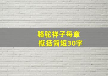 骆驼祥子每章概括简短30字