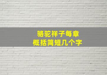 骆驼祥子每章概括简短几个字