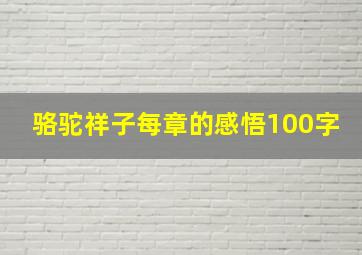 骆驼祥子每章的感悟100字