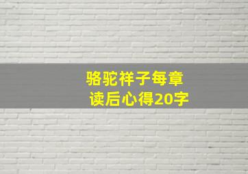 骆驼祥子每章读后心得20字