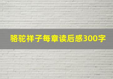 骆驼祥子每章读后感300字