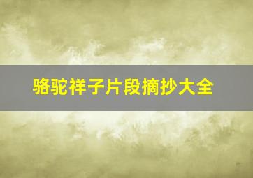 骆驼祥子片段摘抄大全