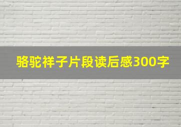 骆驼祥子片段读后感300字