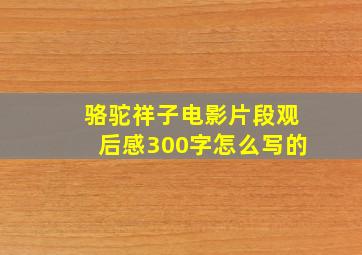 骆驼祥子电影片段观后感300字怎么写的