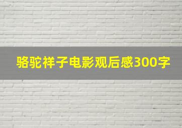 骆驼祥子电影观后感300字