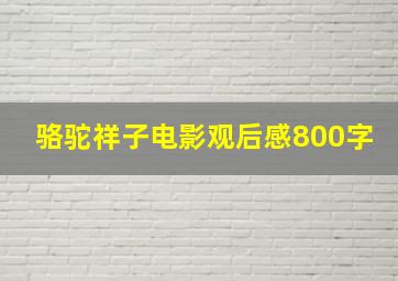 骆驼祥子电影观后感800字