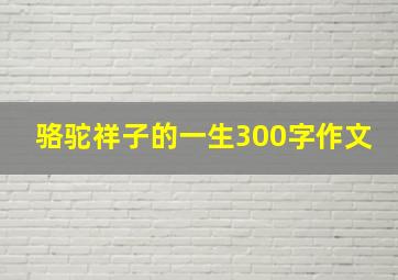 骆驼祥子的一生300字作文