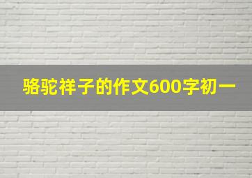 骆驼祥子的作文600字初一