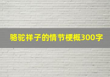 骆驼祥子的情节梗概300字