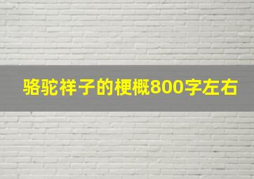 骆驼祥子的梗概800字左右