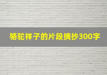 骆驼祥子的片段摘抄300字