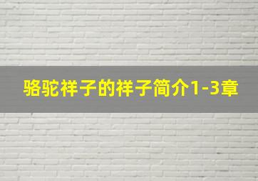 骆驼祥子的祥子简介1-3章