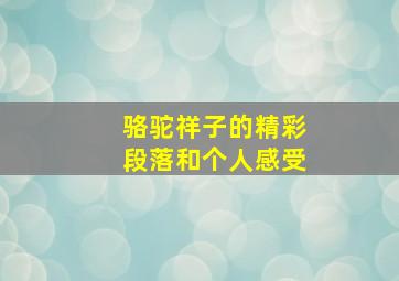 骆驼祥子的精彩段落和个人感受