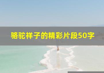 骆驼祥子的精彩片段50字