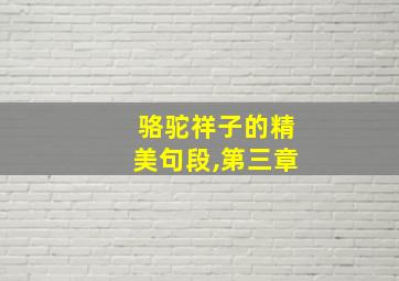 骆驼祥子的精美句段,第三章