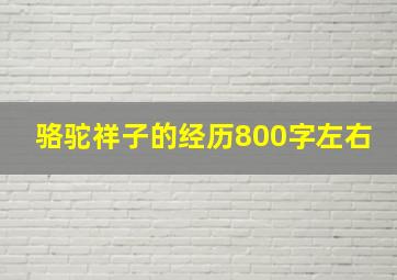 骆驼祥子的经历800字左右