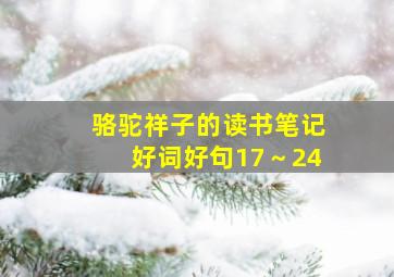 骆驼祥子的读书笔记好词好句17～24