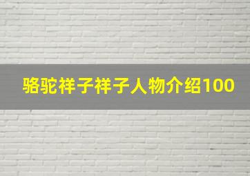 骆驼祥子祥子人物介绍100