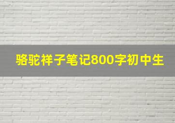 骆驼祥子笔记800字初中生