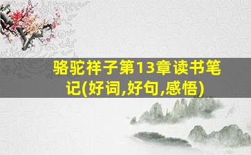 骆驼祥子第13章读书笔记(好词,好句,感悟)