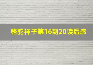 骆驼祥子第16到20读后感