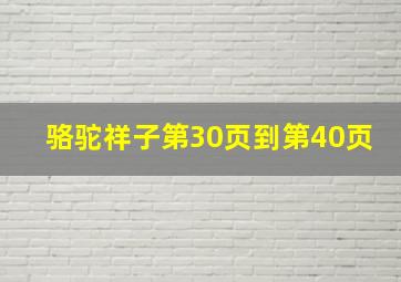 骆驼祥子第30页到第40页