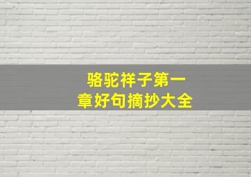 骆驼祥子第一章好句摘抄大全