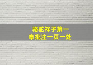 骆驼祥子第一章批注一页一处