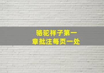 骆驼祥子第一章批注每页一处