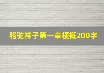 骆驼祥子第一章梗概200字