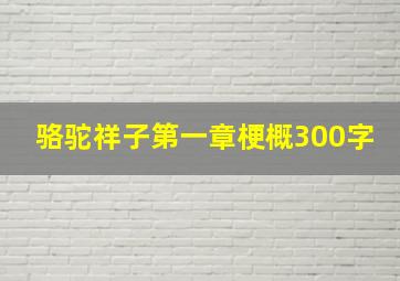 骆驼祥子第一章梗概300字