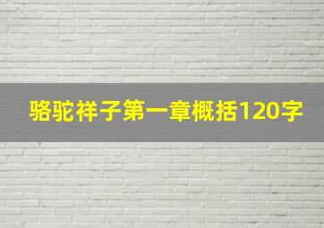 骆驼祥子第一章概括120字