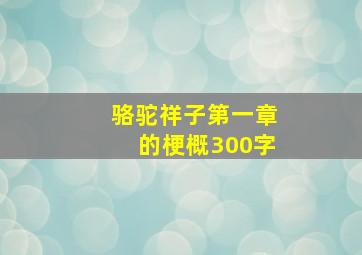 骆驼祥子第一章的梗概300字