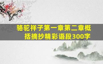 骆驼祥子第一章第二章概括摘抄精彩语段300字