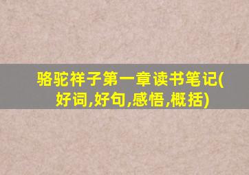 骆驼祥子第一章读书笔记(好词,好句,感悟,概括)